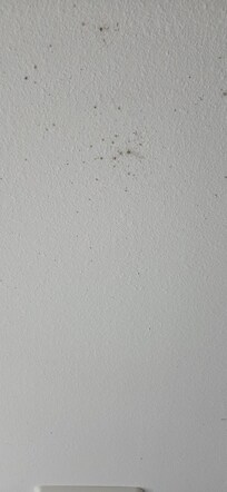Mold in bathroom