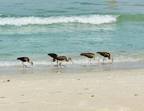 Nearby South Beach Park