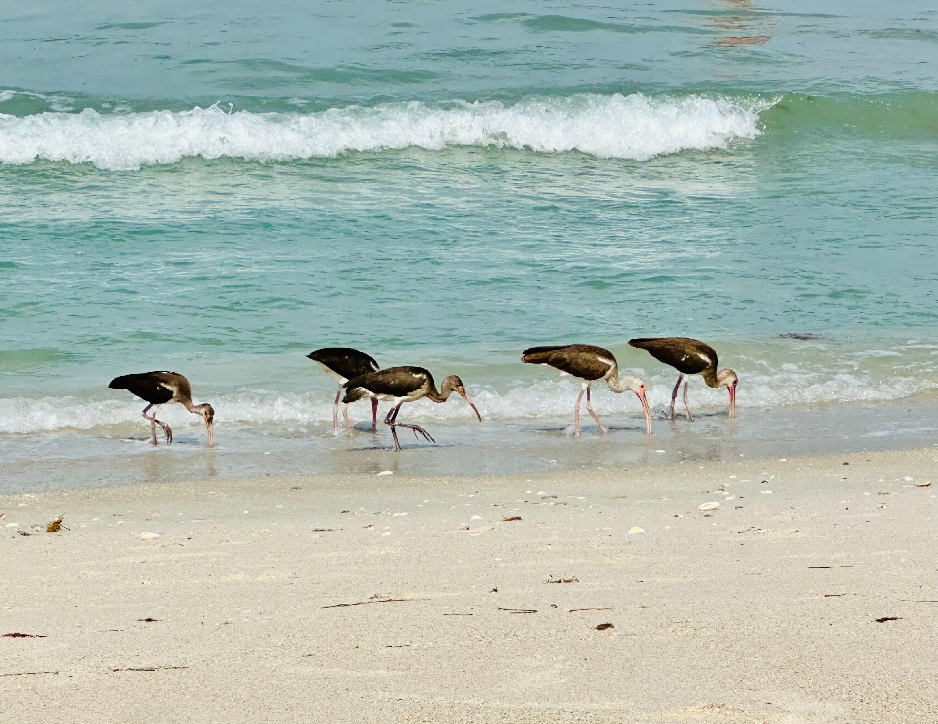 Nearby South Beach Park