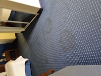 Stains in the Carpet