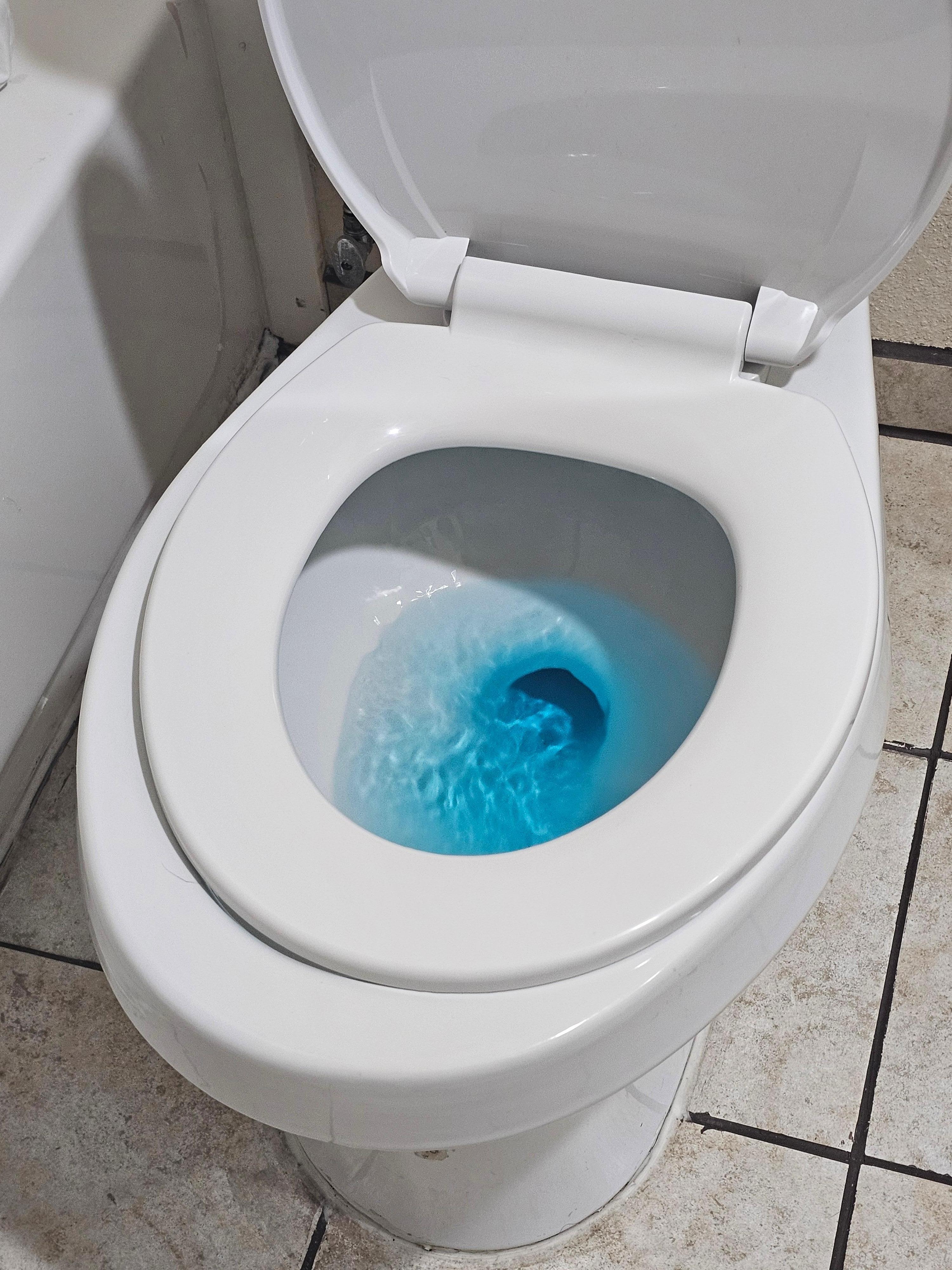 Unfortunately I forgot to take a picture of the large bedbug on the pillow...I was too upset and grossed out!