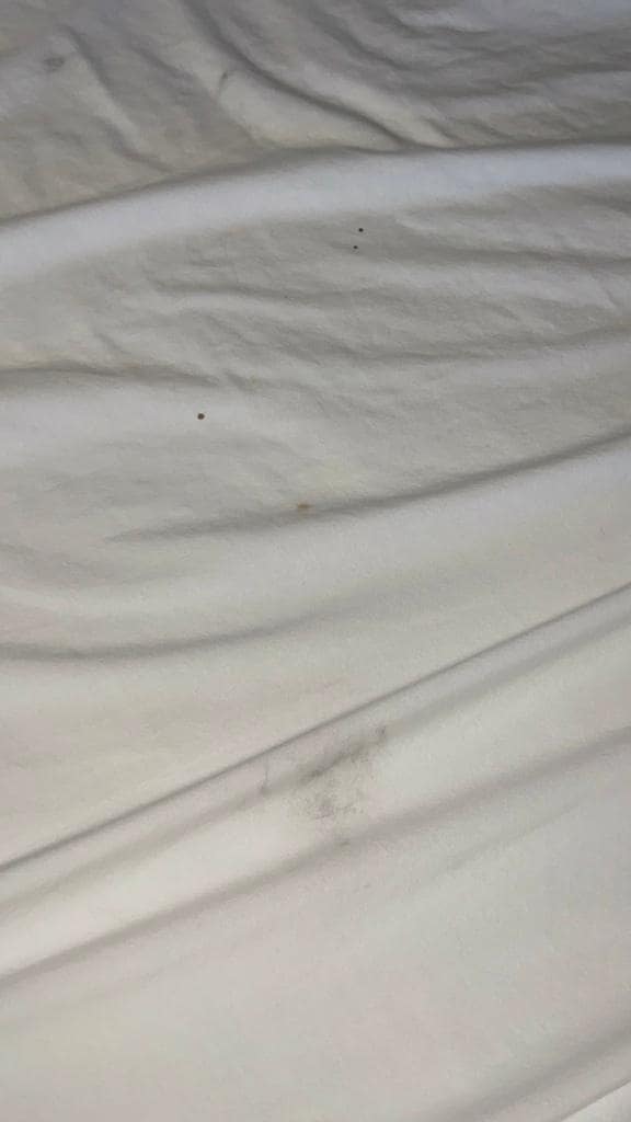 Blood stains and another boot print