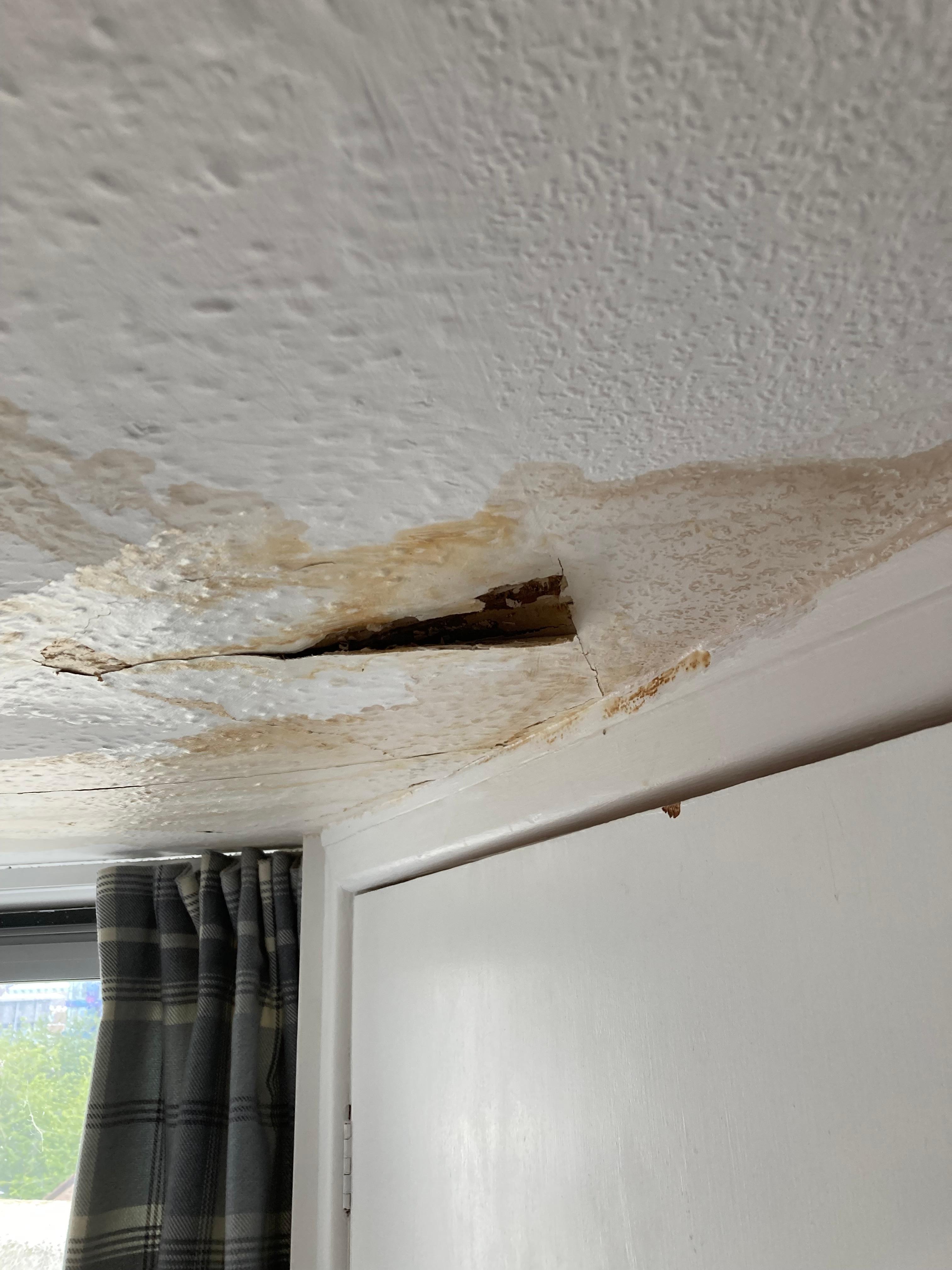 Room ceiling damp
