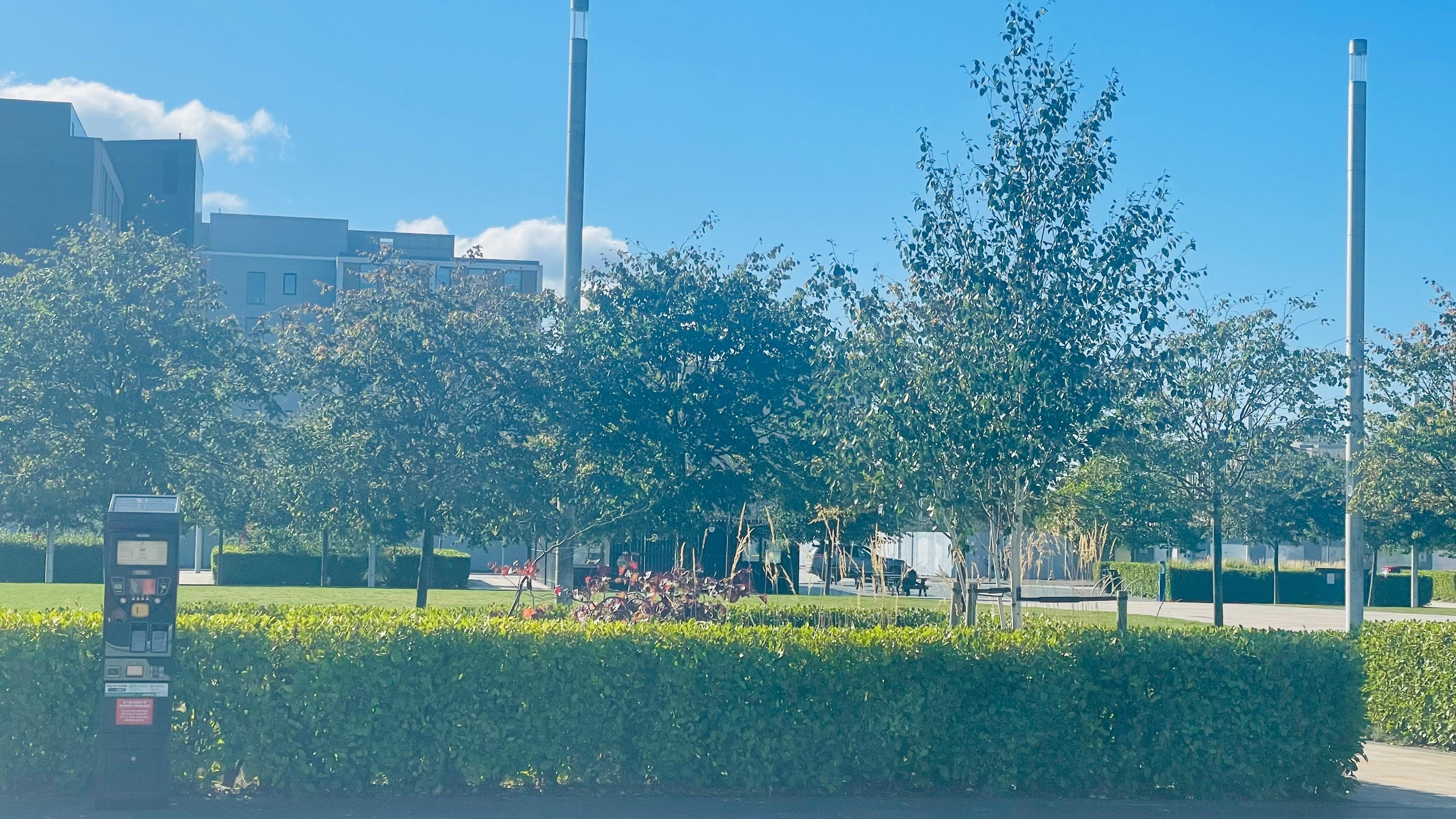 Sunny view of Slessor Gardens 