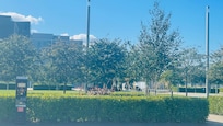 Sunny view of Slessor Gardens