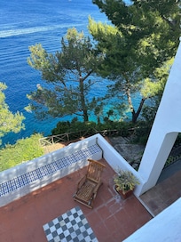 The view