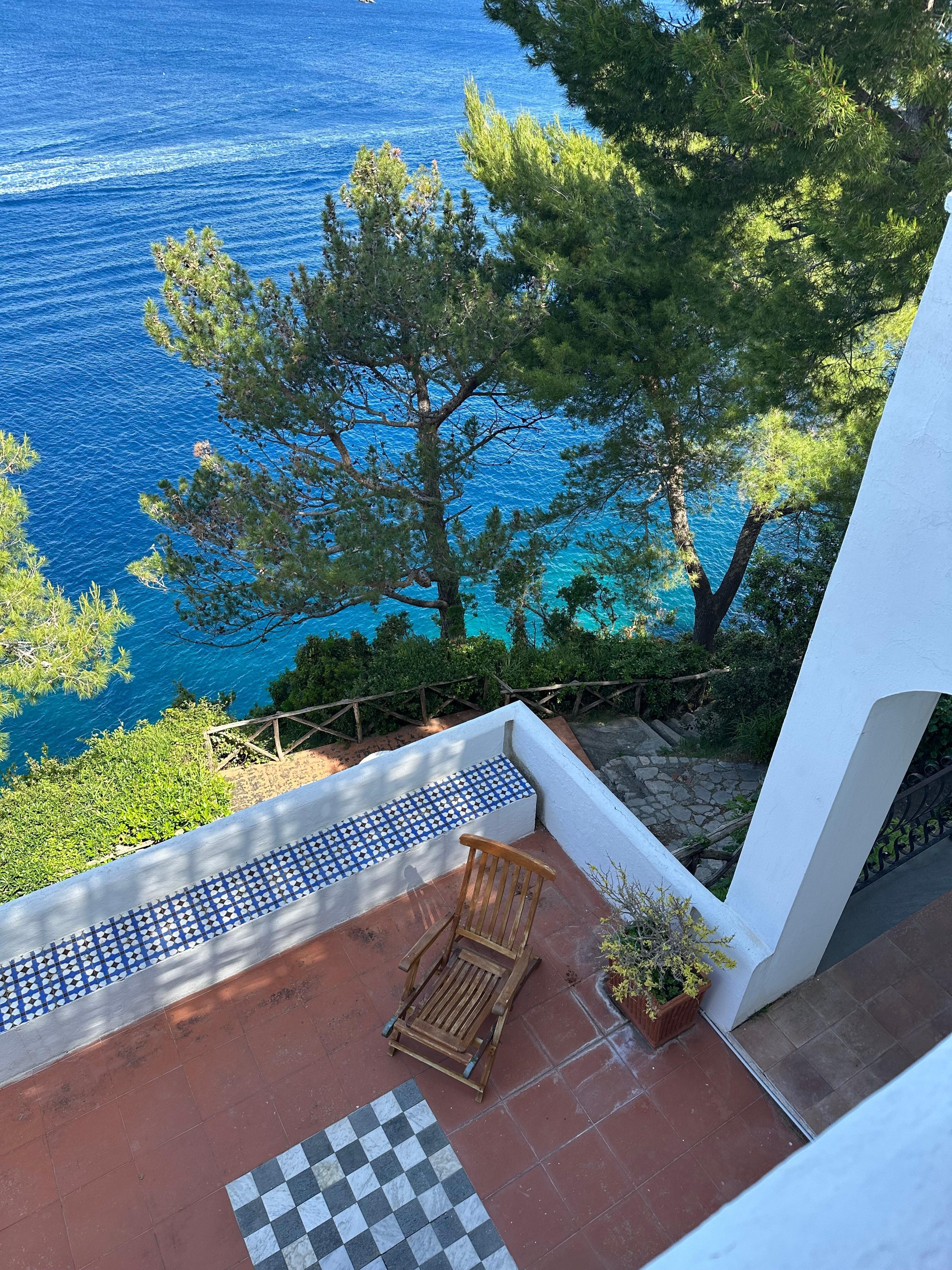 The view