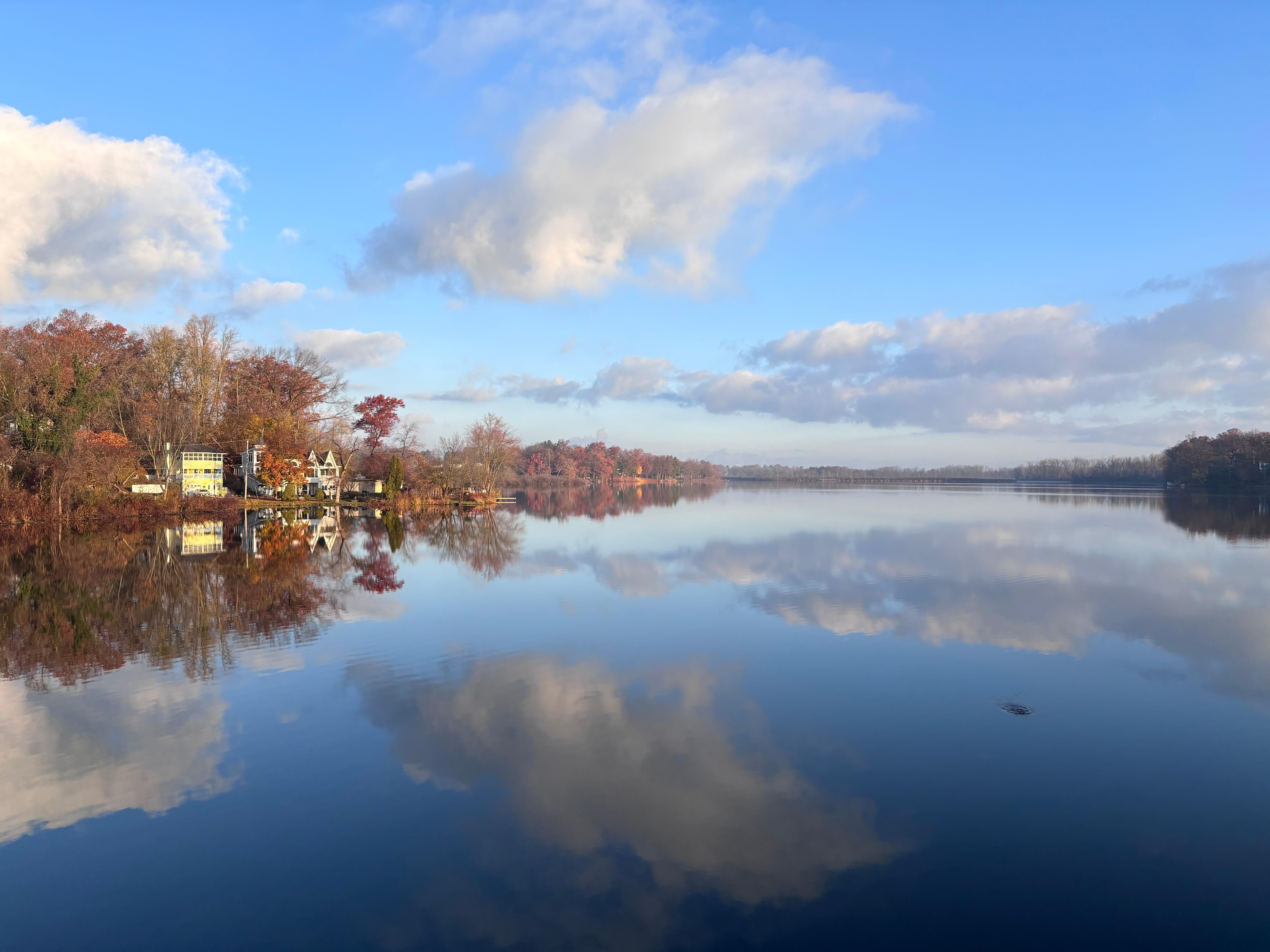 Views from the house!