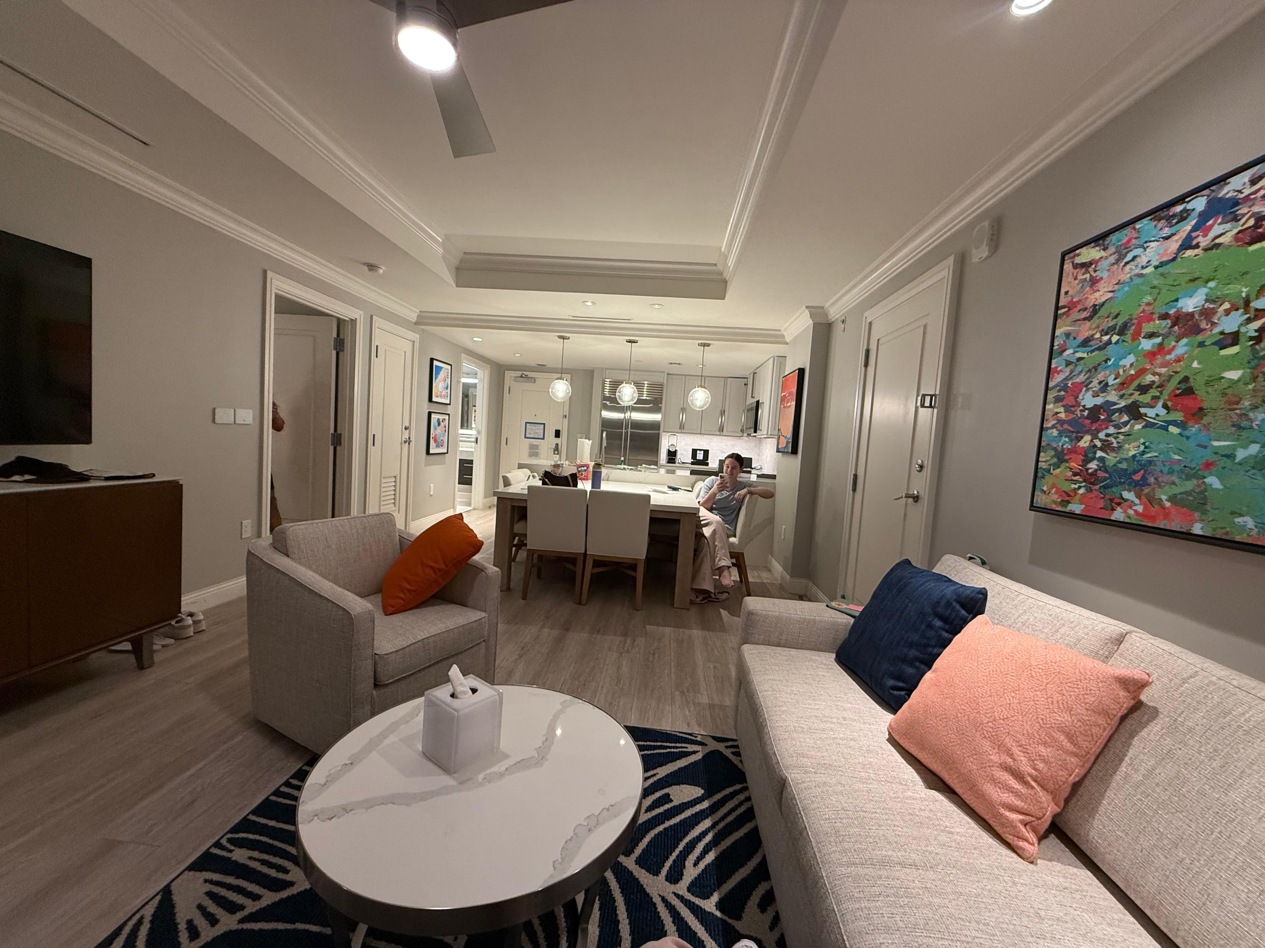 Living room and kitchen 