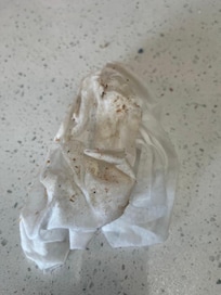 After cleaning filthy shelves in kitchen, using our own wet wipes -- no cleaning supplies in rental.
