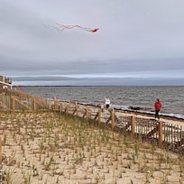 Go fly a kite!