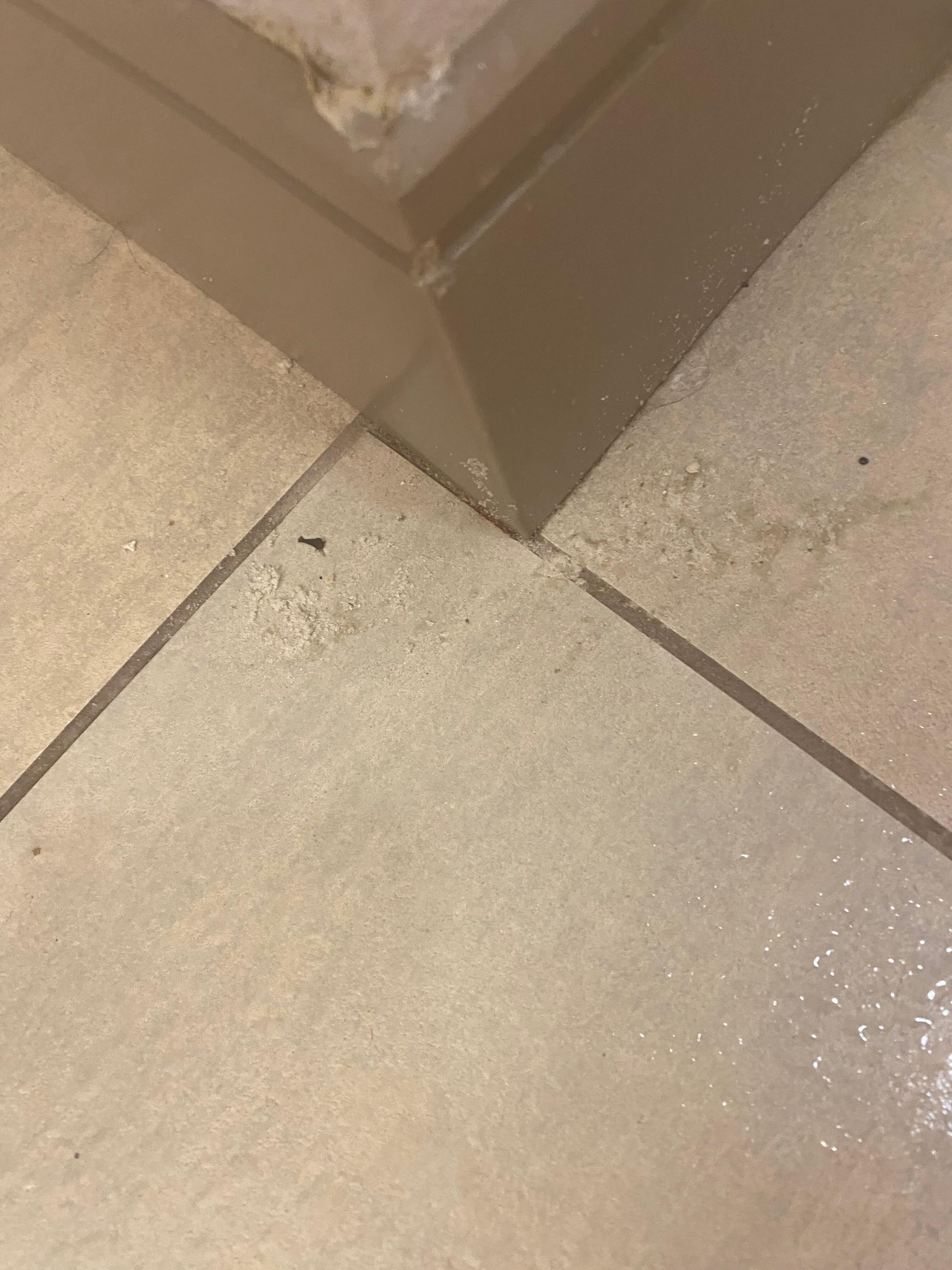 Floor had something nasty on it