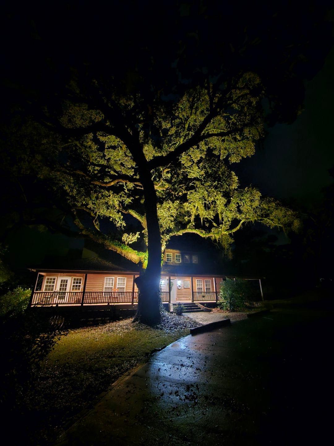 Beautiful (and historic trees) on and around the property - landscaping lighting frames these amazing trees at night..