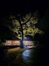 Beautiful (and historic trees) on and around the property - landscaping lighting frames these amazing trees at night..