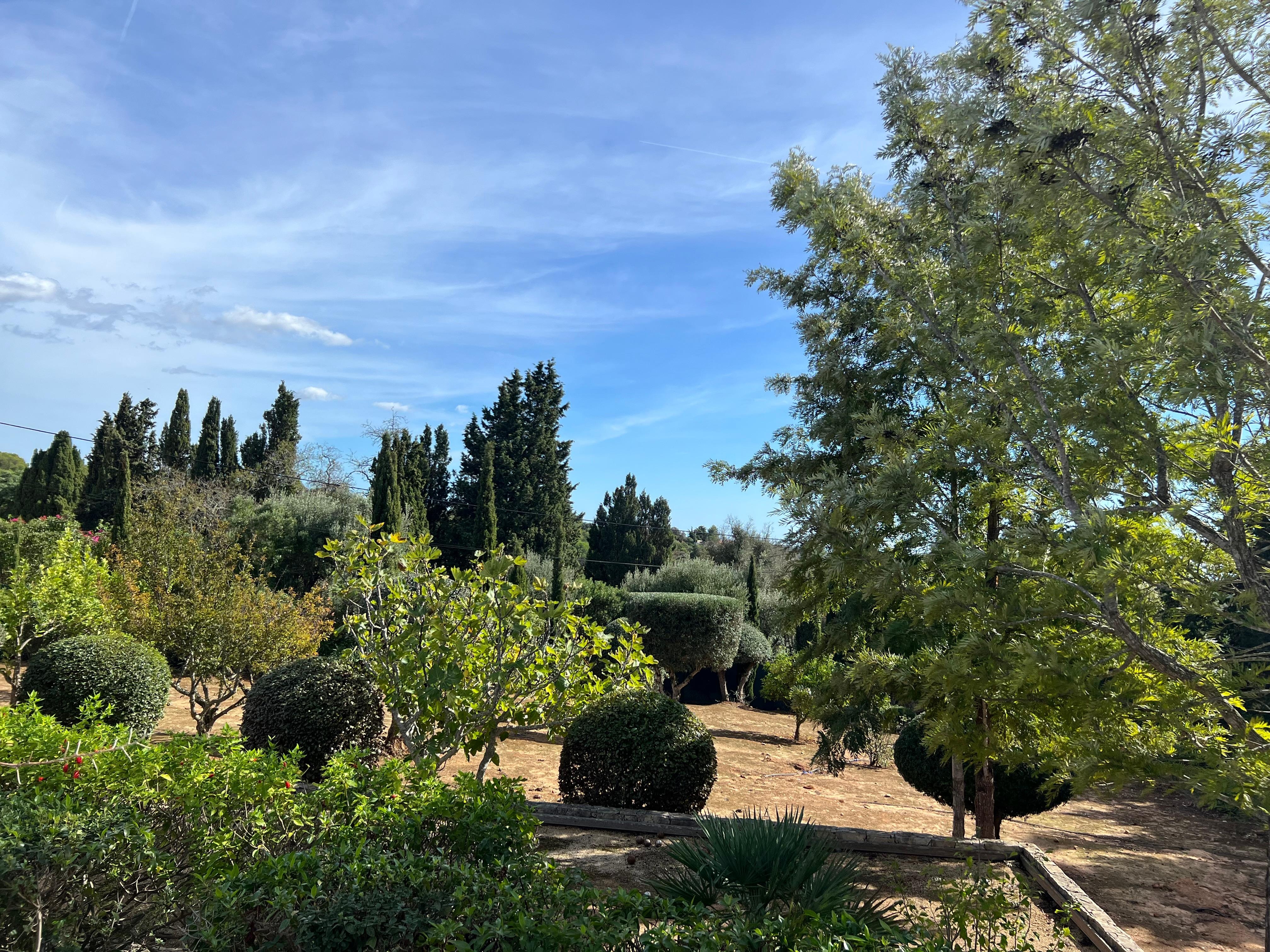 Sonnenaufgang im November vom Schlafzimmer aus