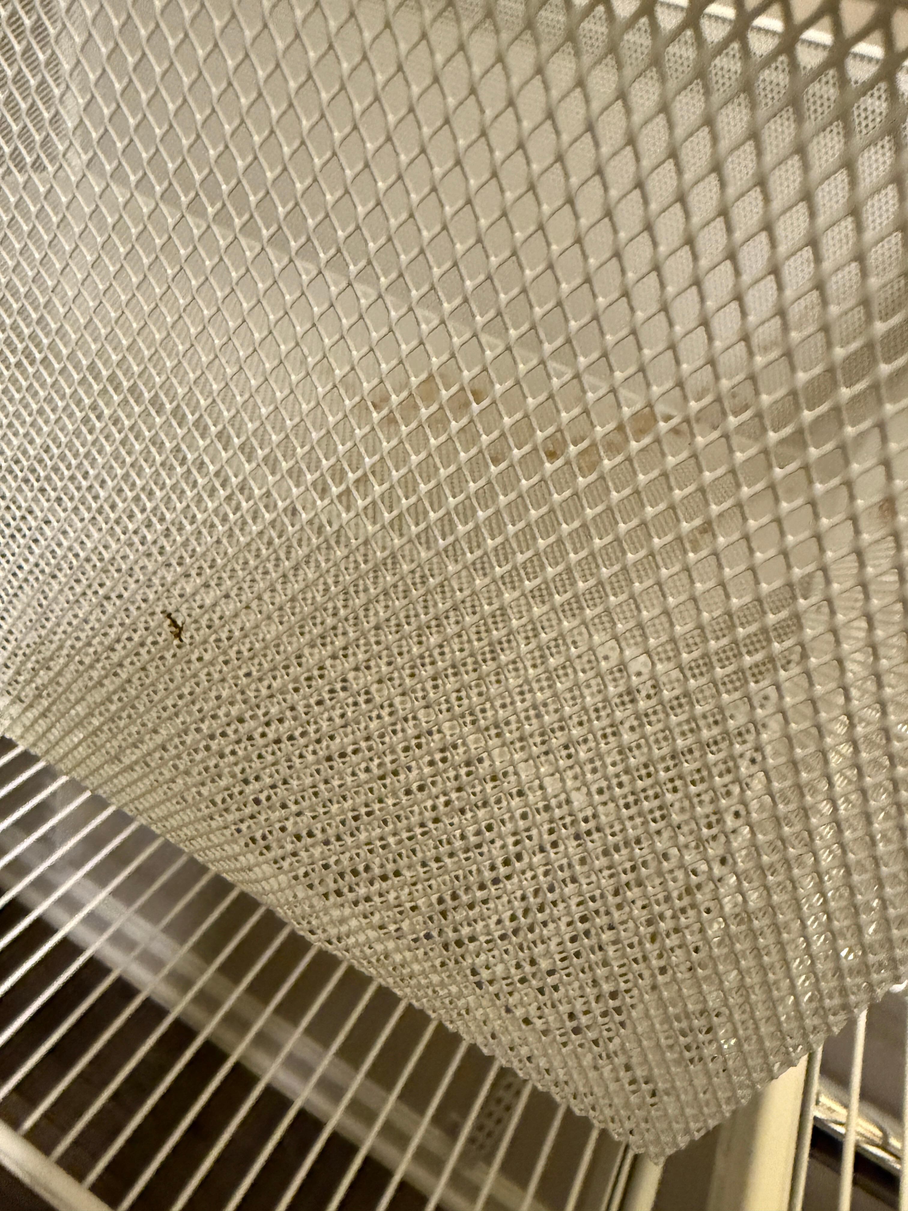 Nasty dirty closet bin.