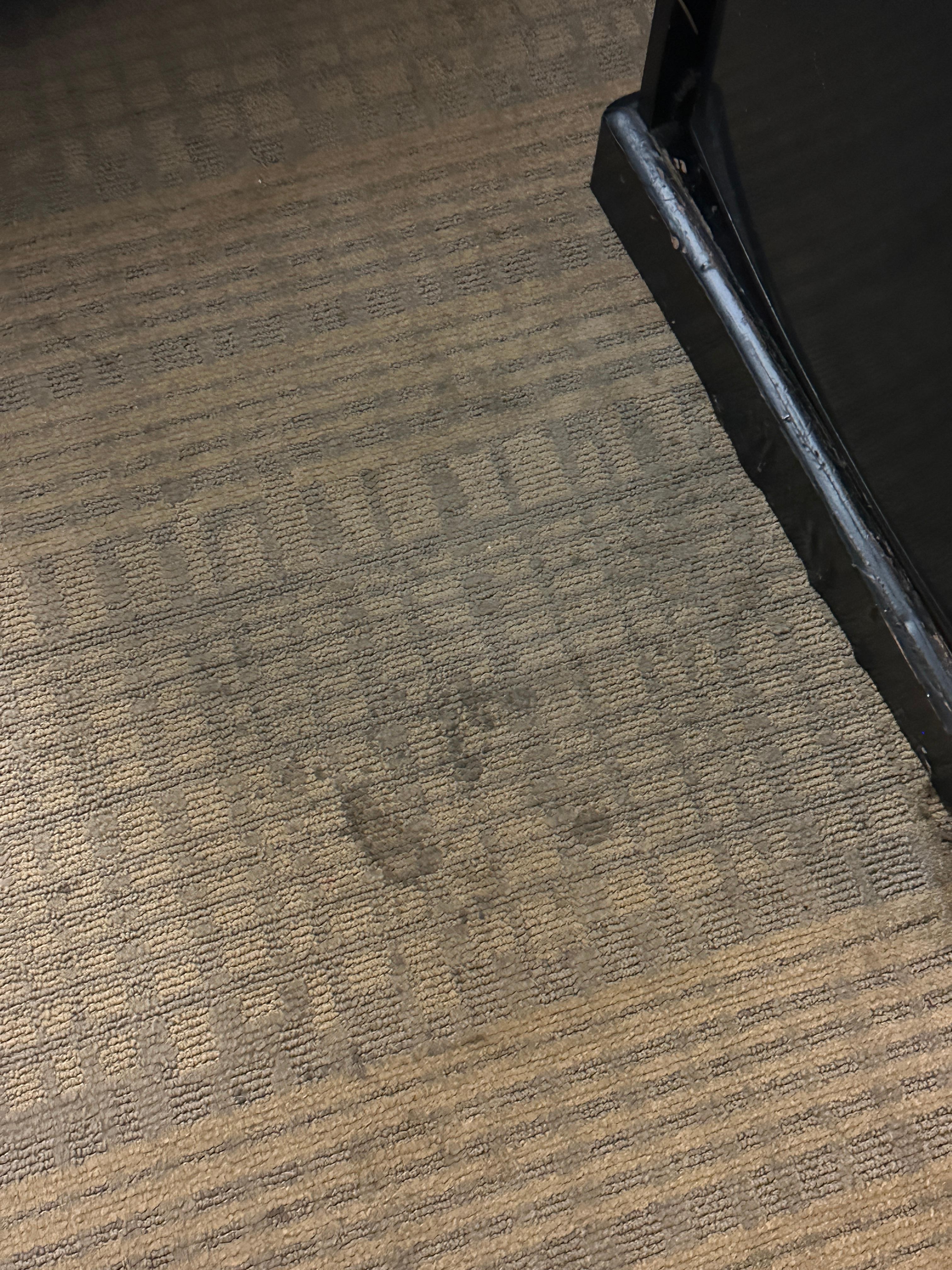 The room stains were nothing compared to the hallway of the 7th floor