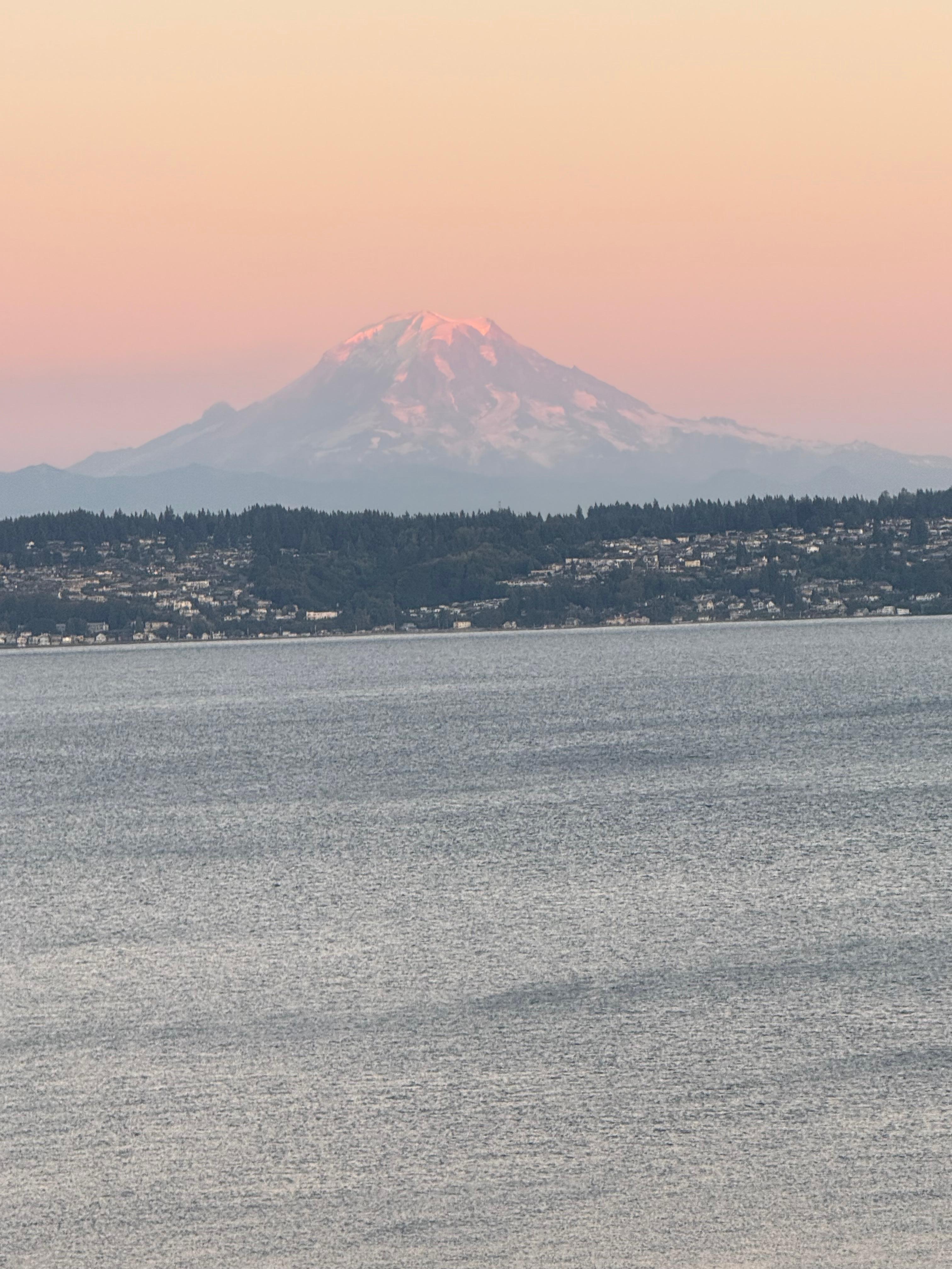 Mt Rainier in the distance 