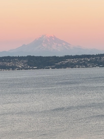 Mt Rainier in the distance