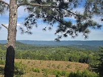 View from the back porch!!! Amazing!