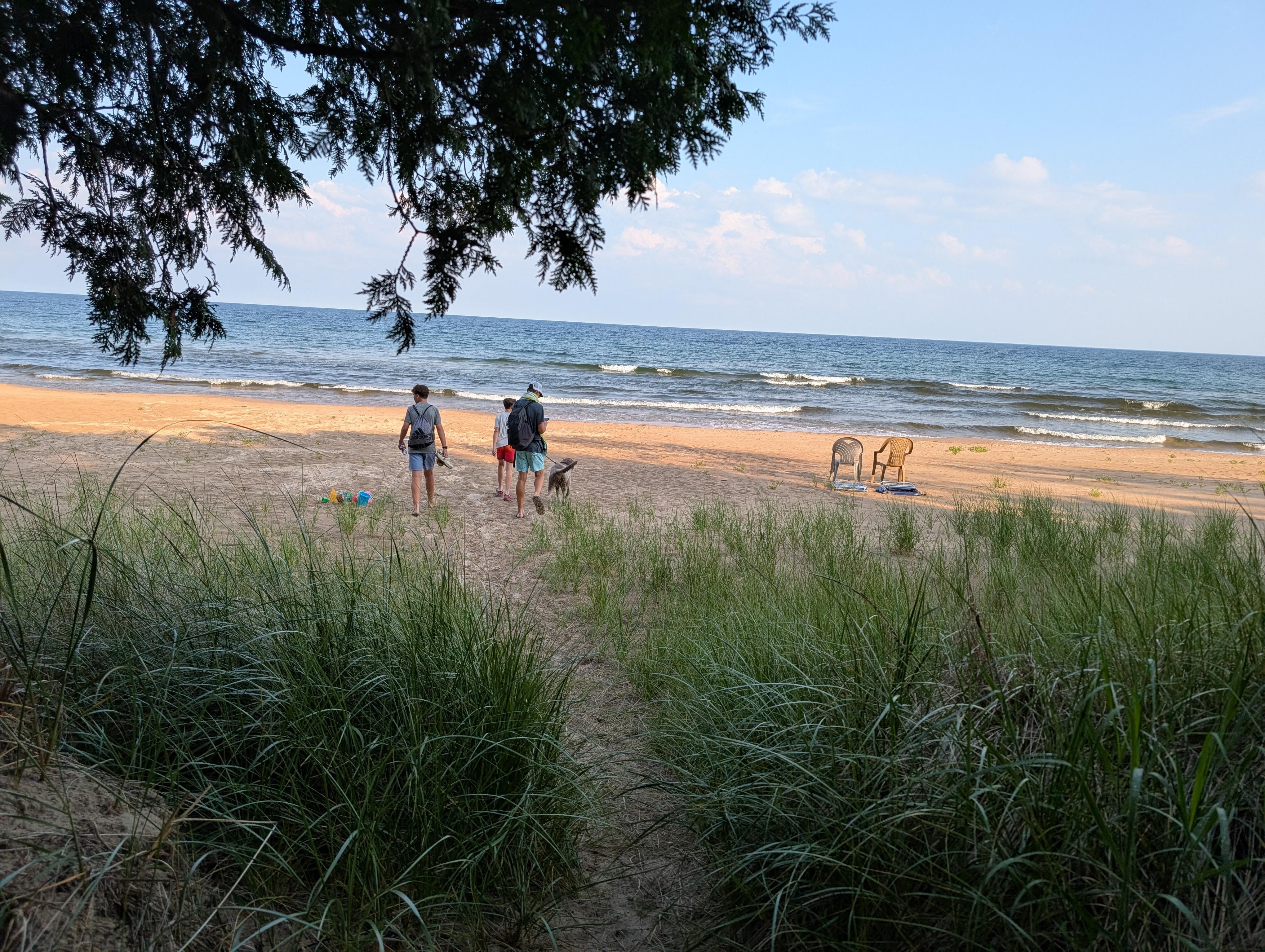 This is such a pretty beach of pine trees and lake breeze .