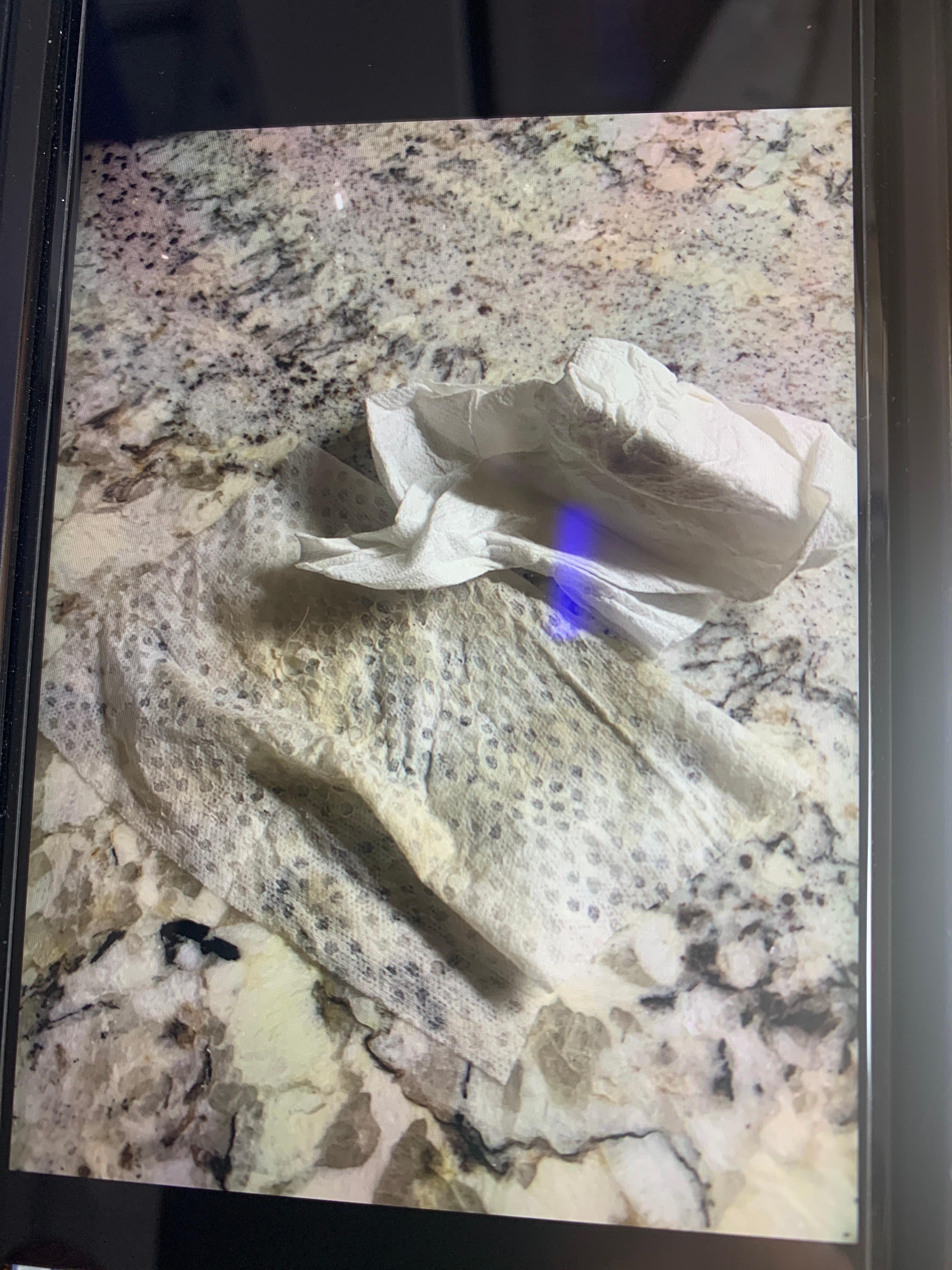 Just wiped the kitchen counter and a few cabinet knobs