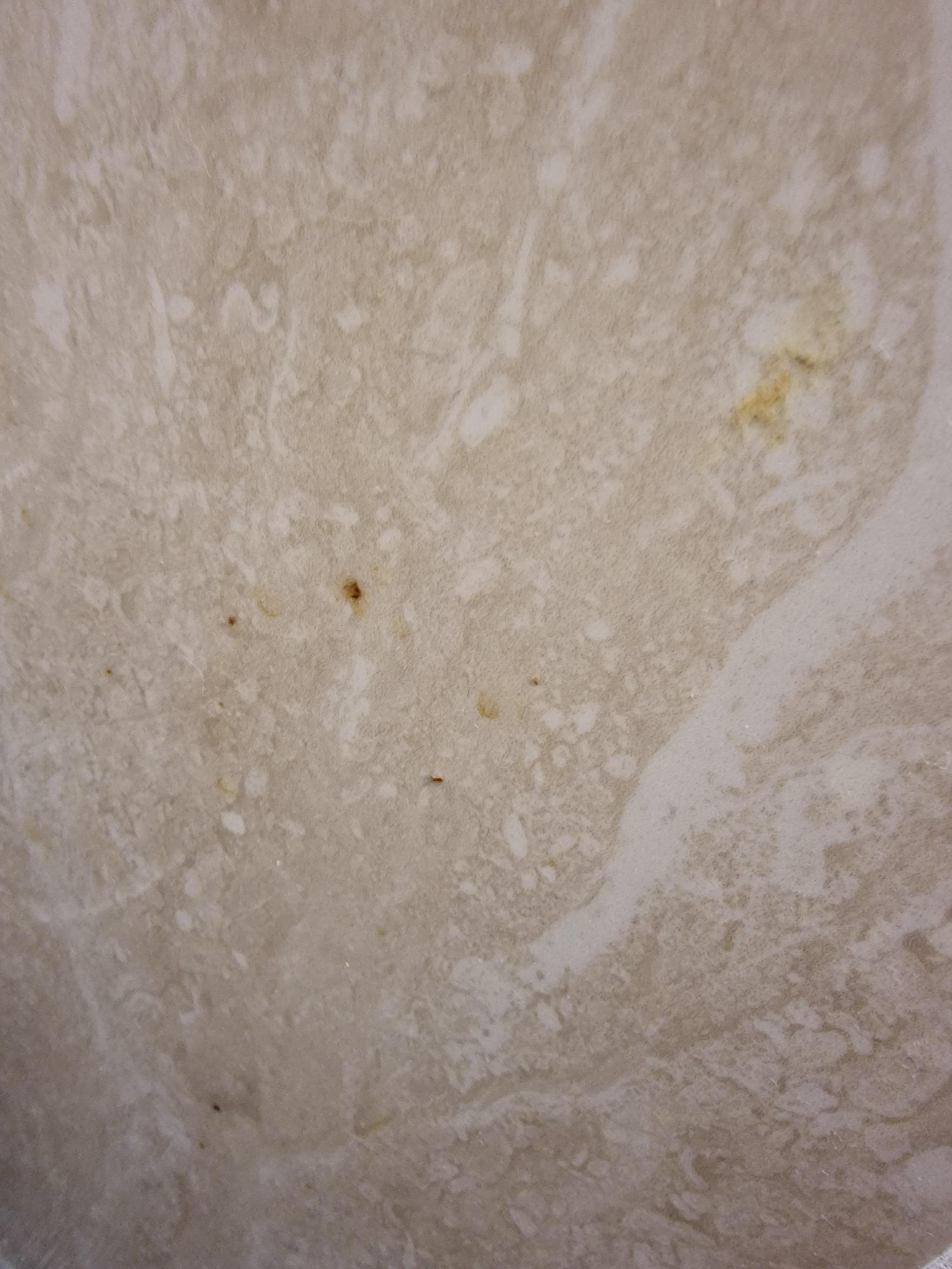 Poo on wall