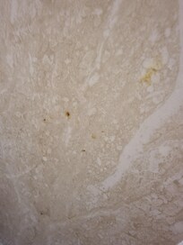 Poo on wall