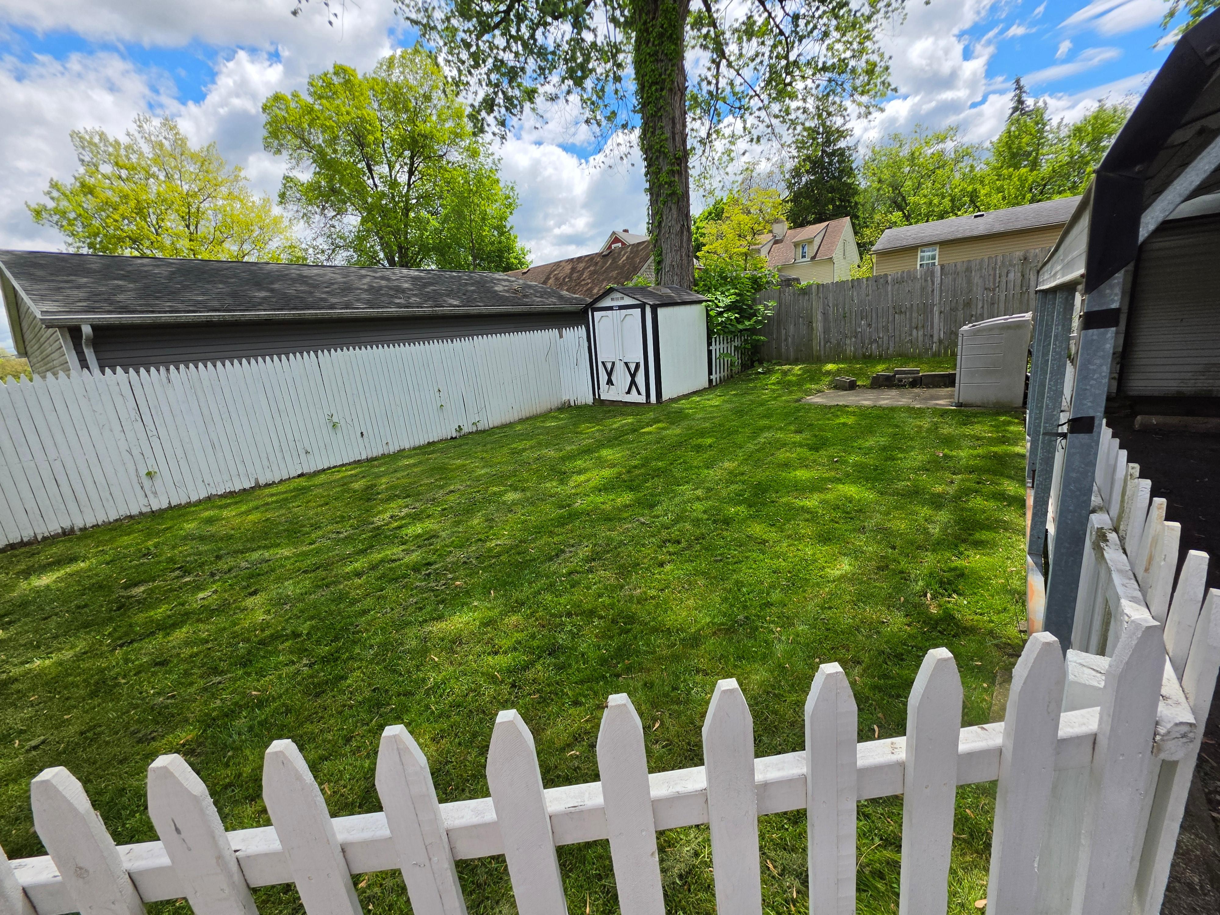 Backyard for pups.