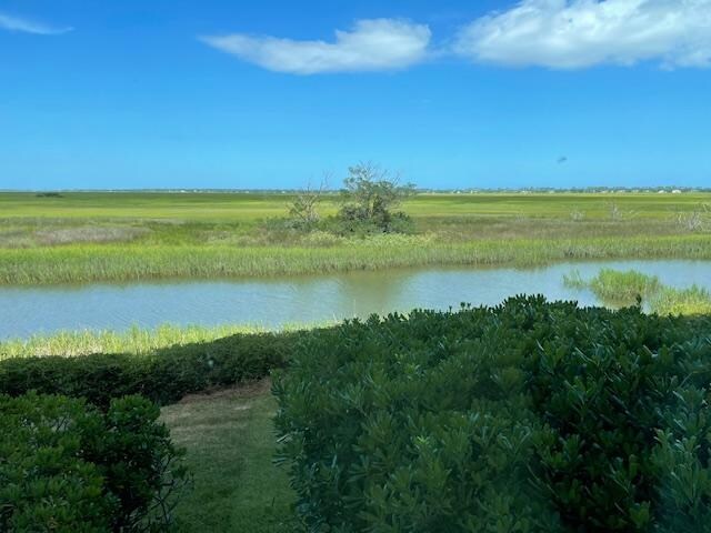 Beautiful view of marsh and wildlife