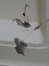 Bathtub cleanliness up close. Under new mgmt in the last 2 weeks. Mgmt decided hair clump removal wasnt necessary
