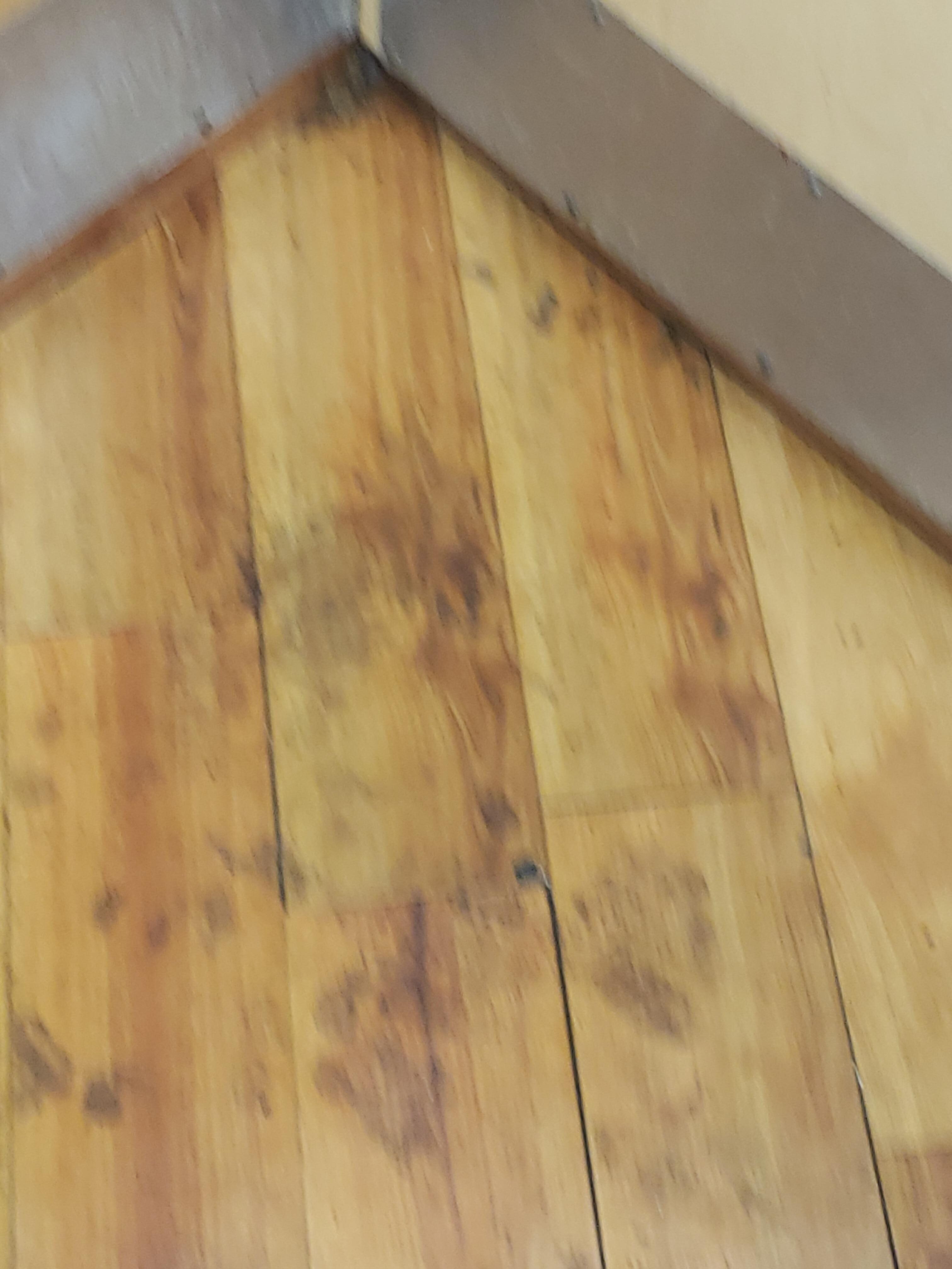Entire lobby floors were dirty