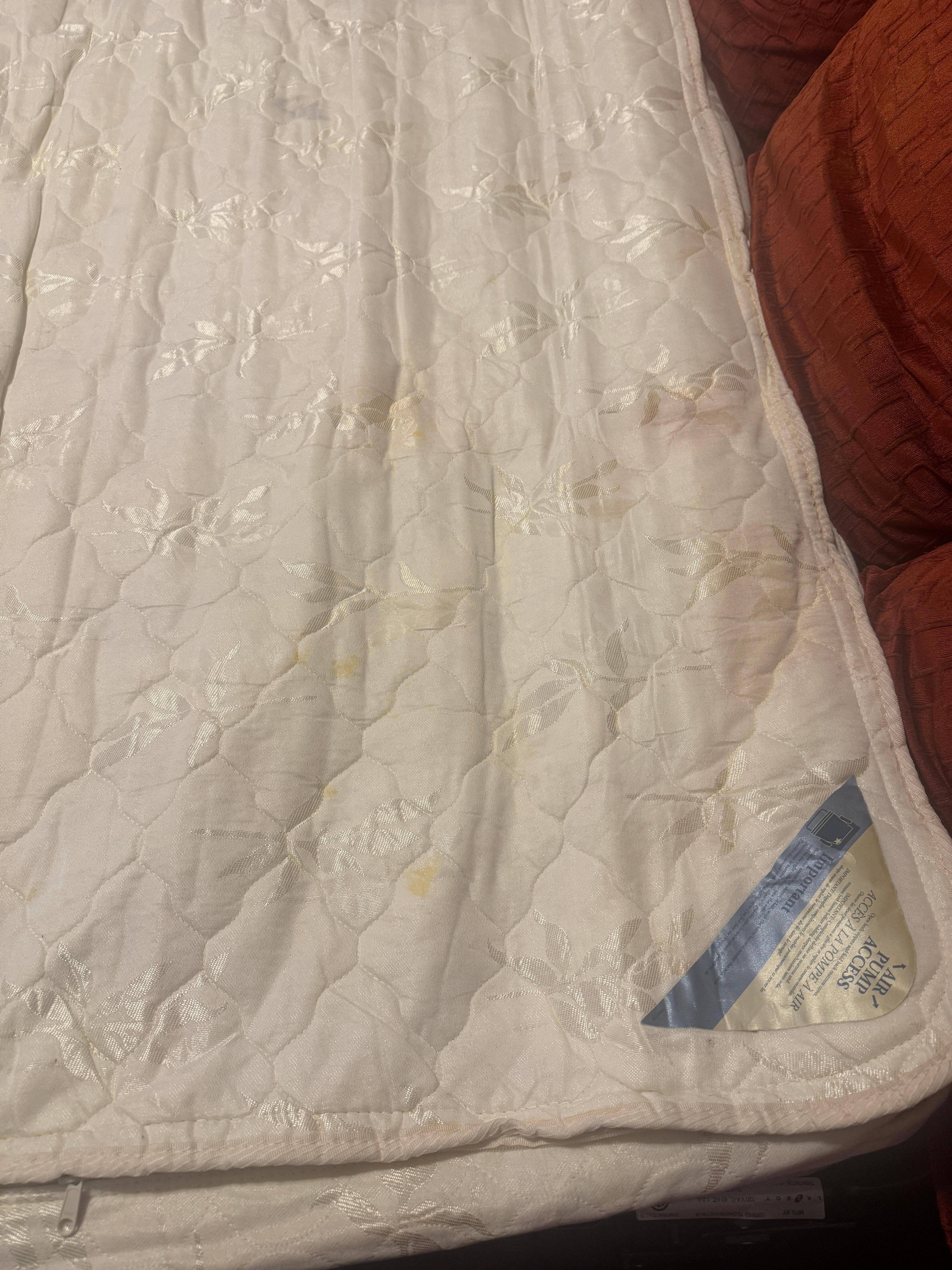 Stain in sofa bed