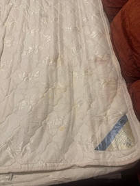 Stain in sofa bed