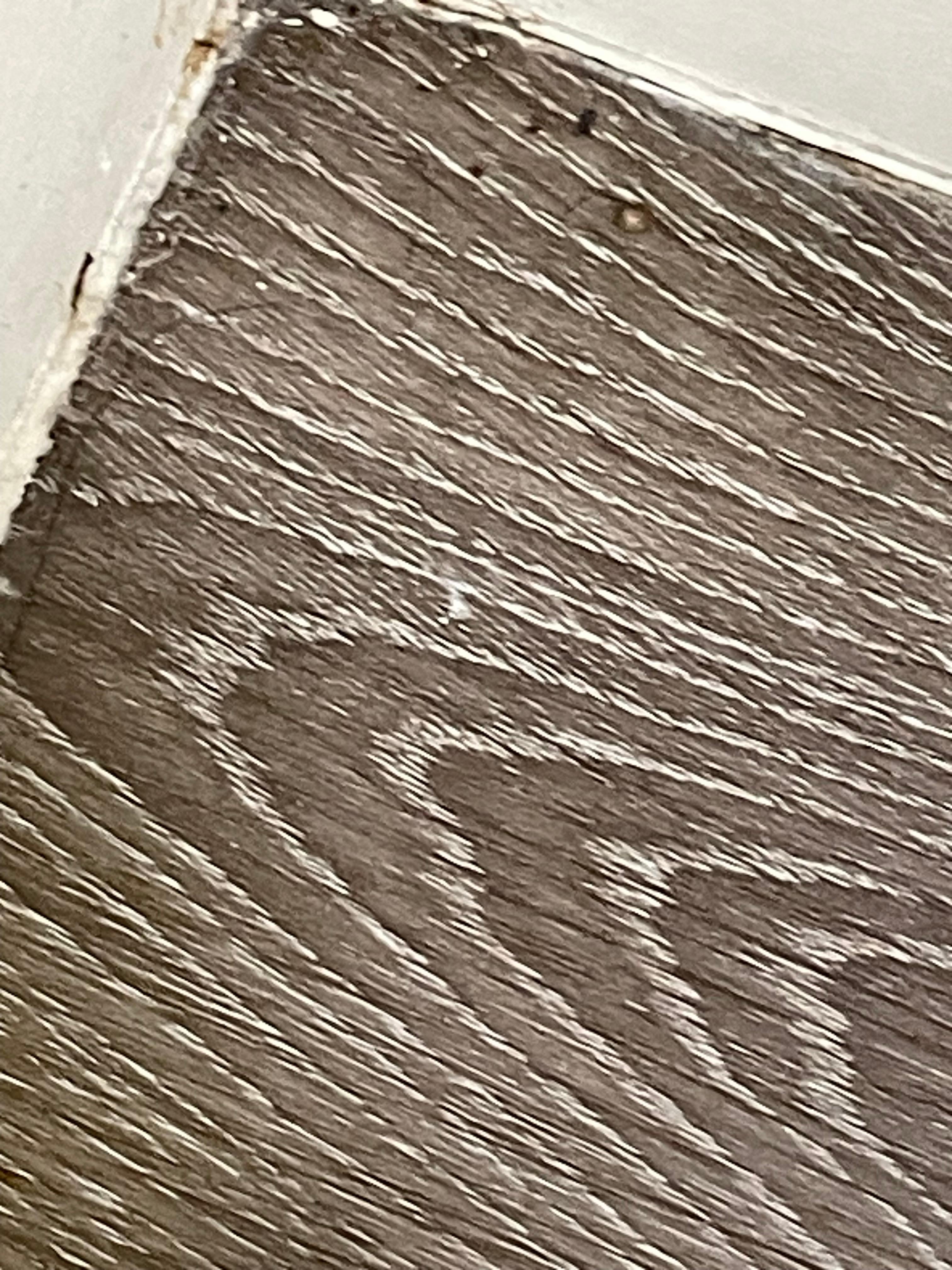 More bugs in the corner