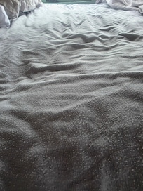 Sheet.