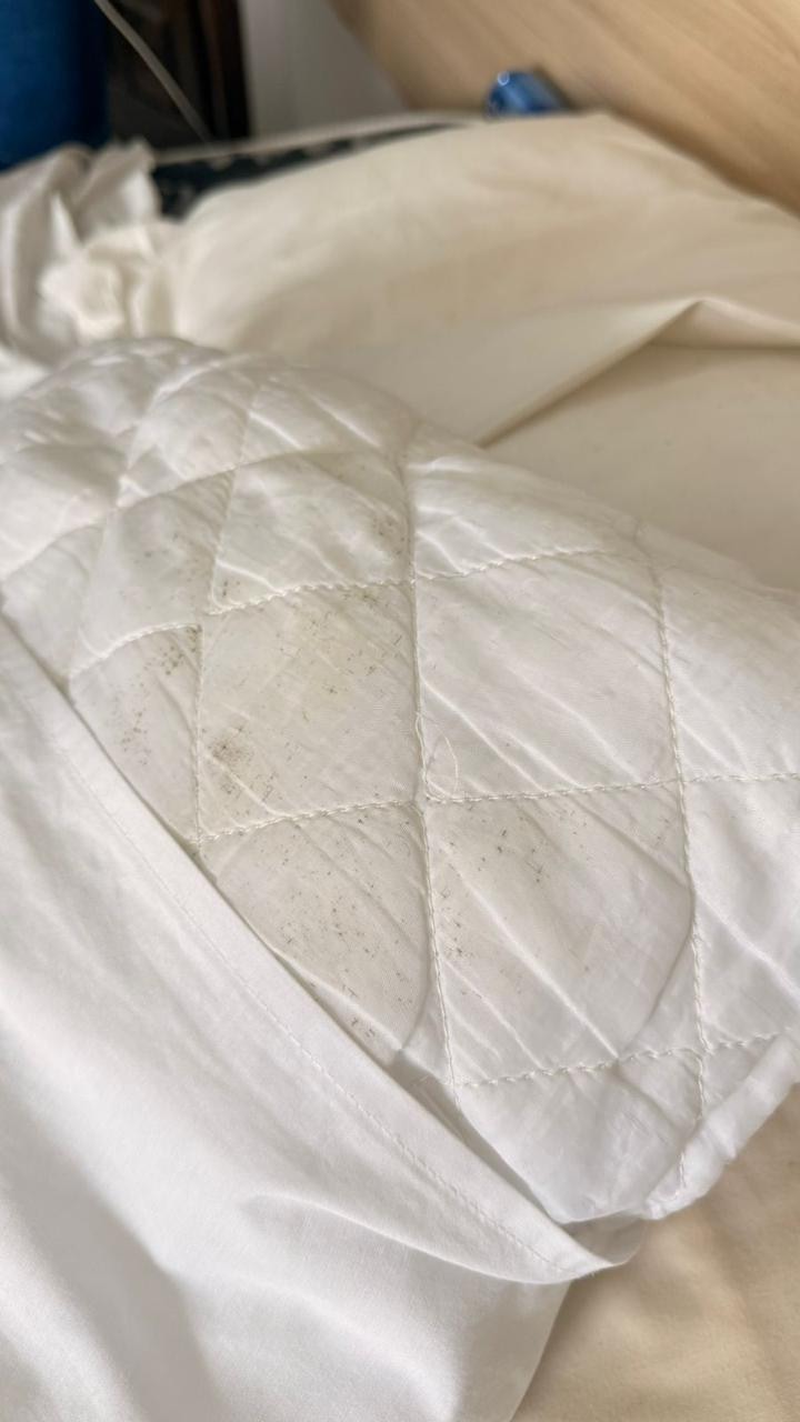 mofo nas roupas de cama