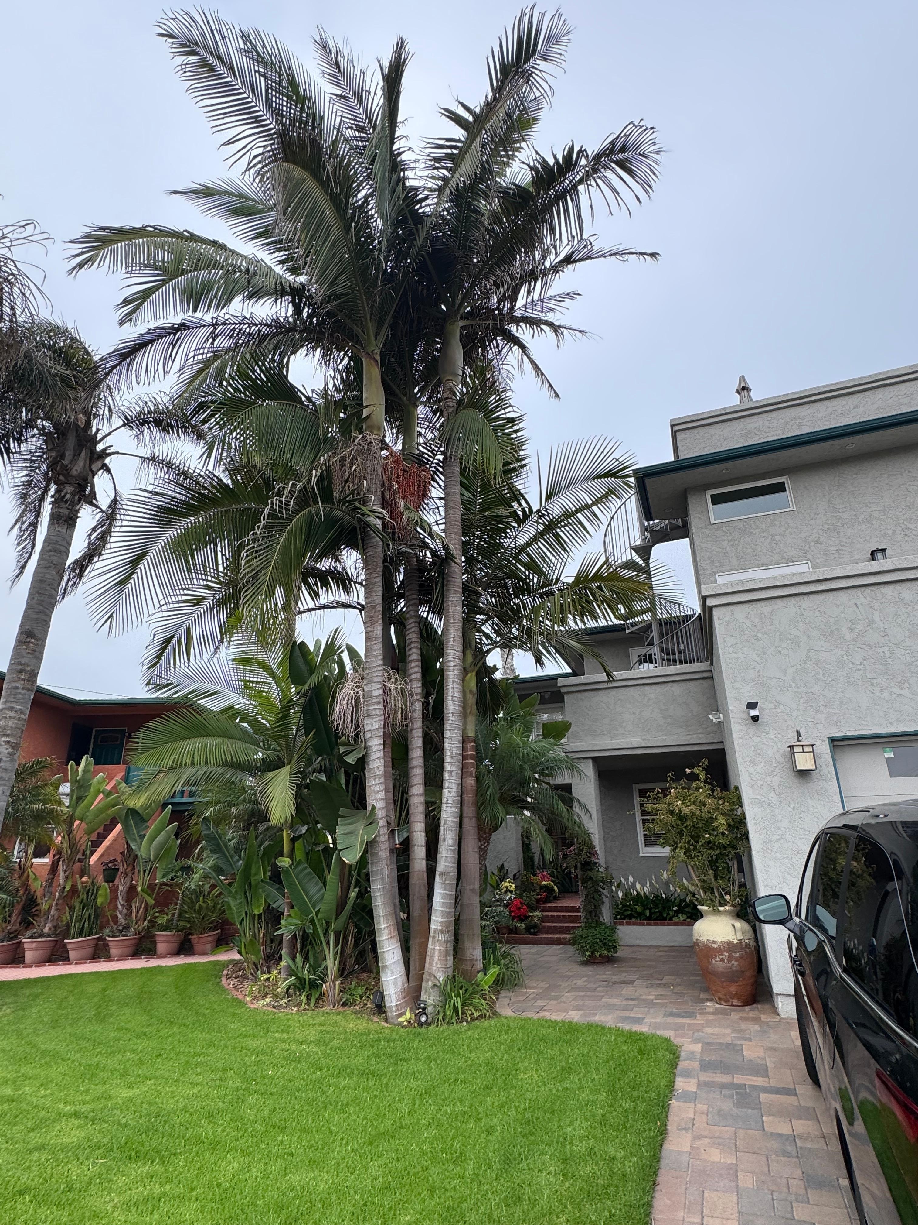 gorgeous landscaping!