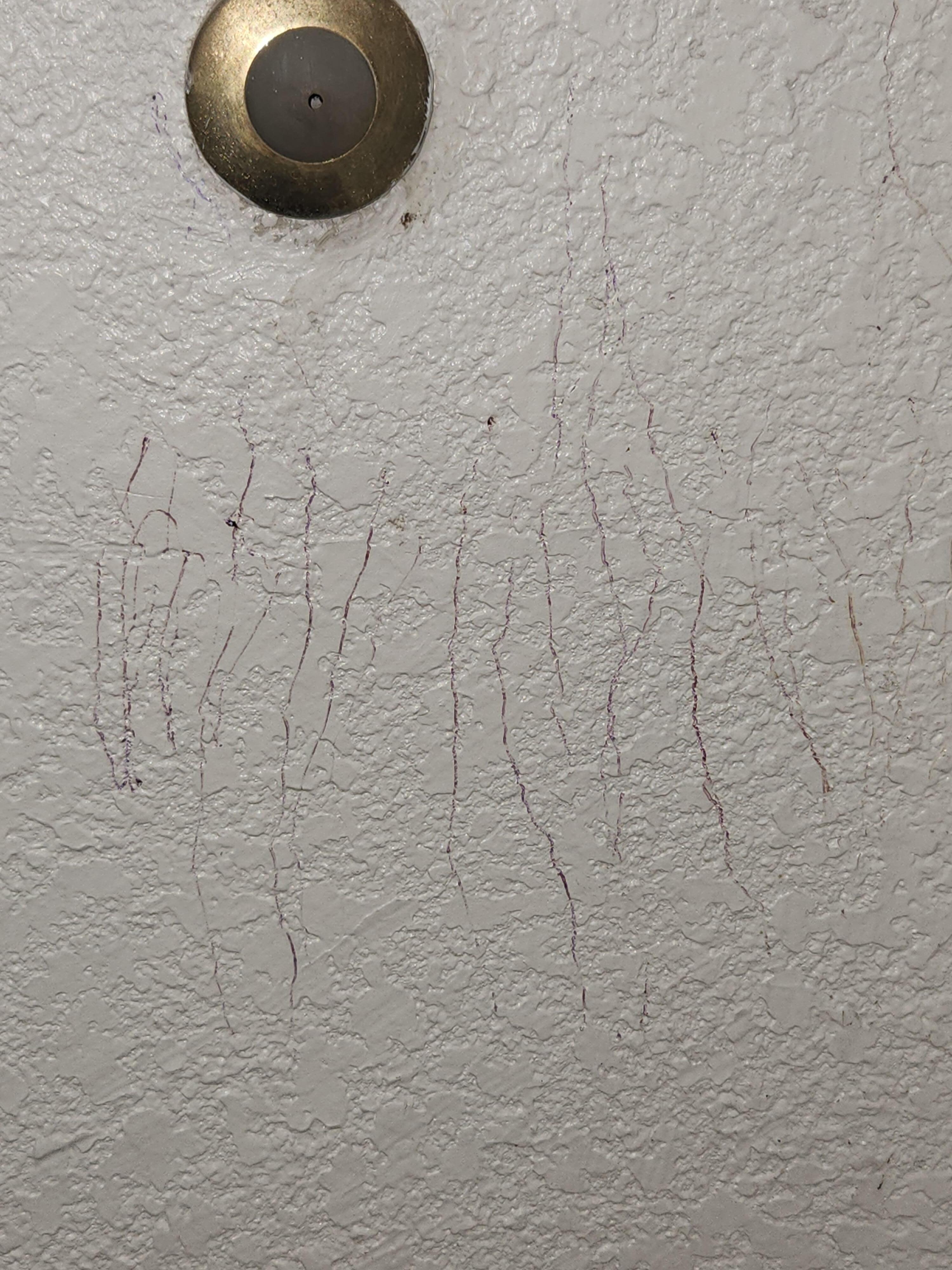 Scratch marks on bathroom wall