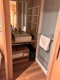 shower and sink in separate room