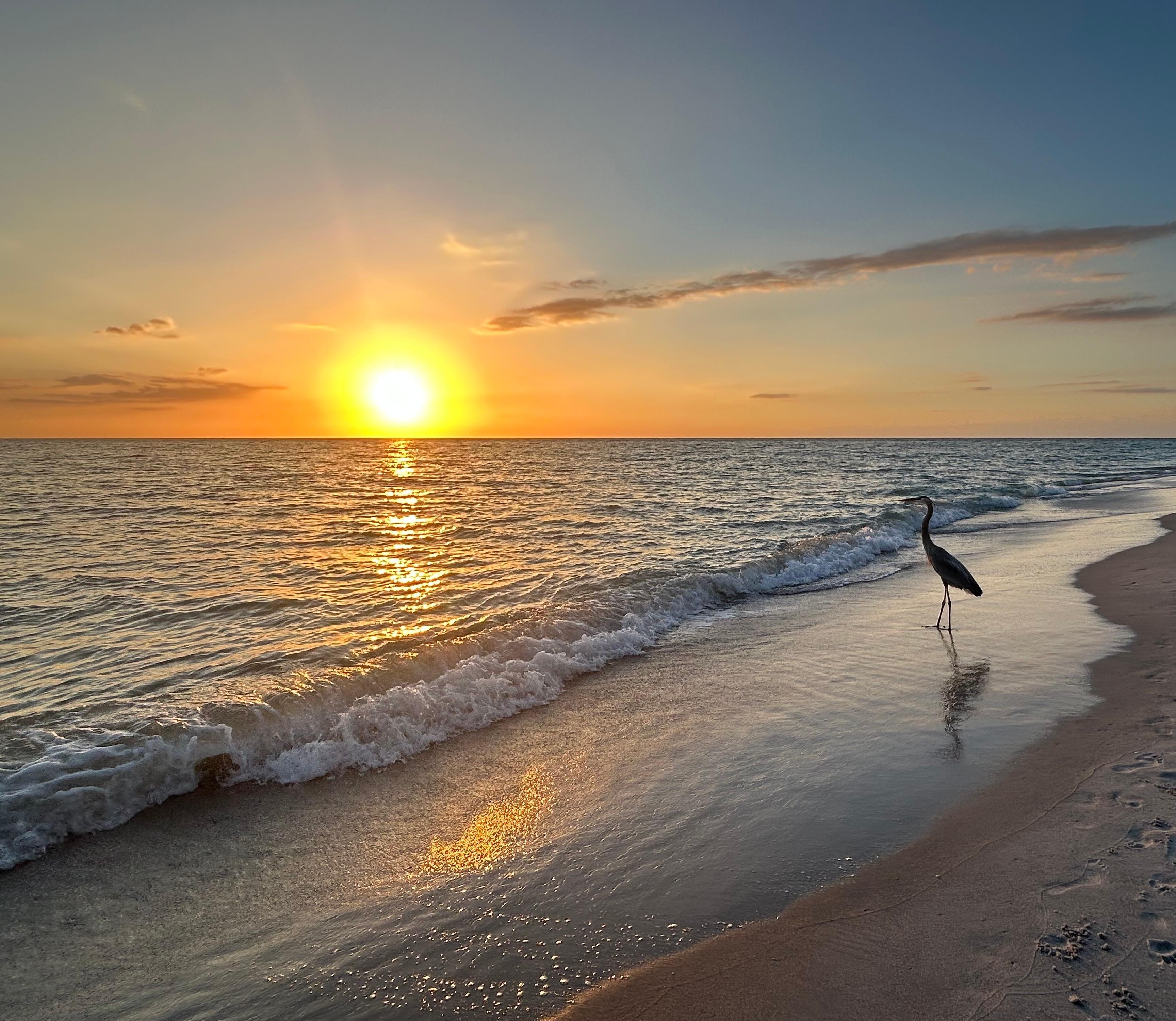 The sunsets are the best 