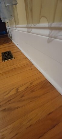 Bugs, dirt, cobwebs along the walls