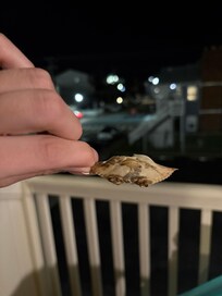 The seagulls would leave us some souvenirs