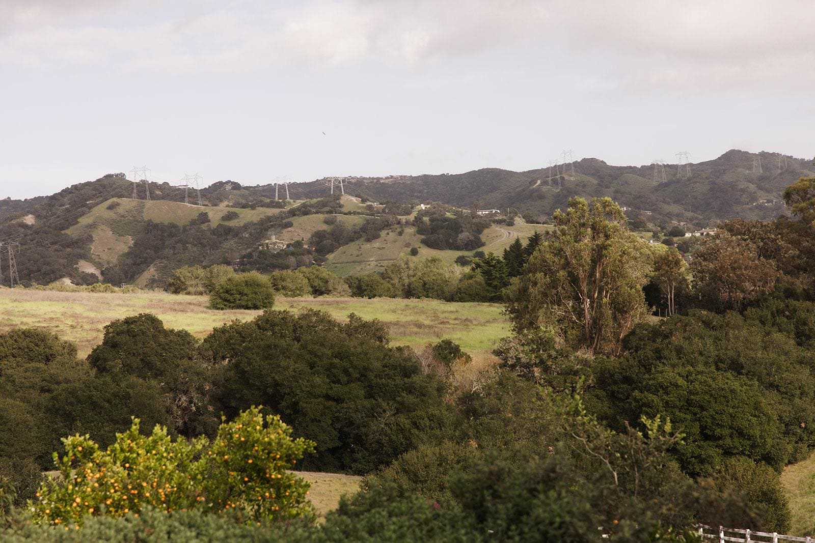 The view from the master bedroom