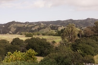 The view from the master bedroom