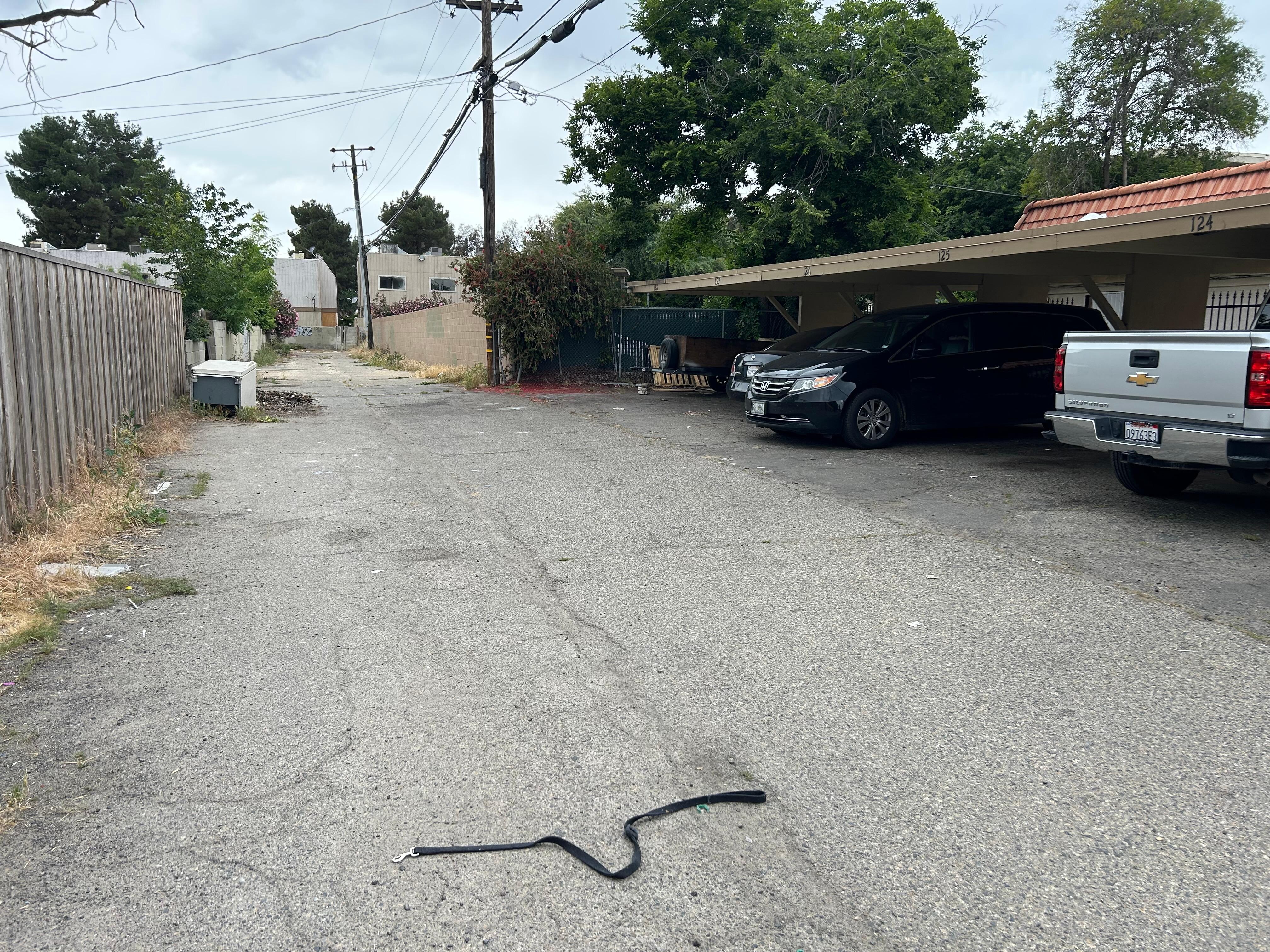 Picture of parking area. The leash in the road was removed from my car from a beloved dog.