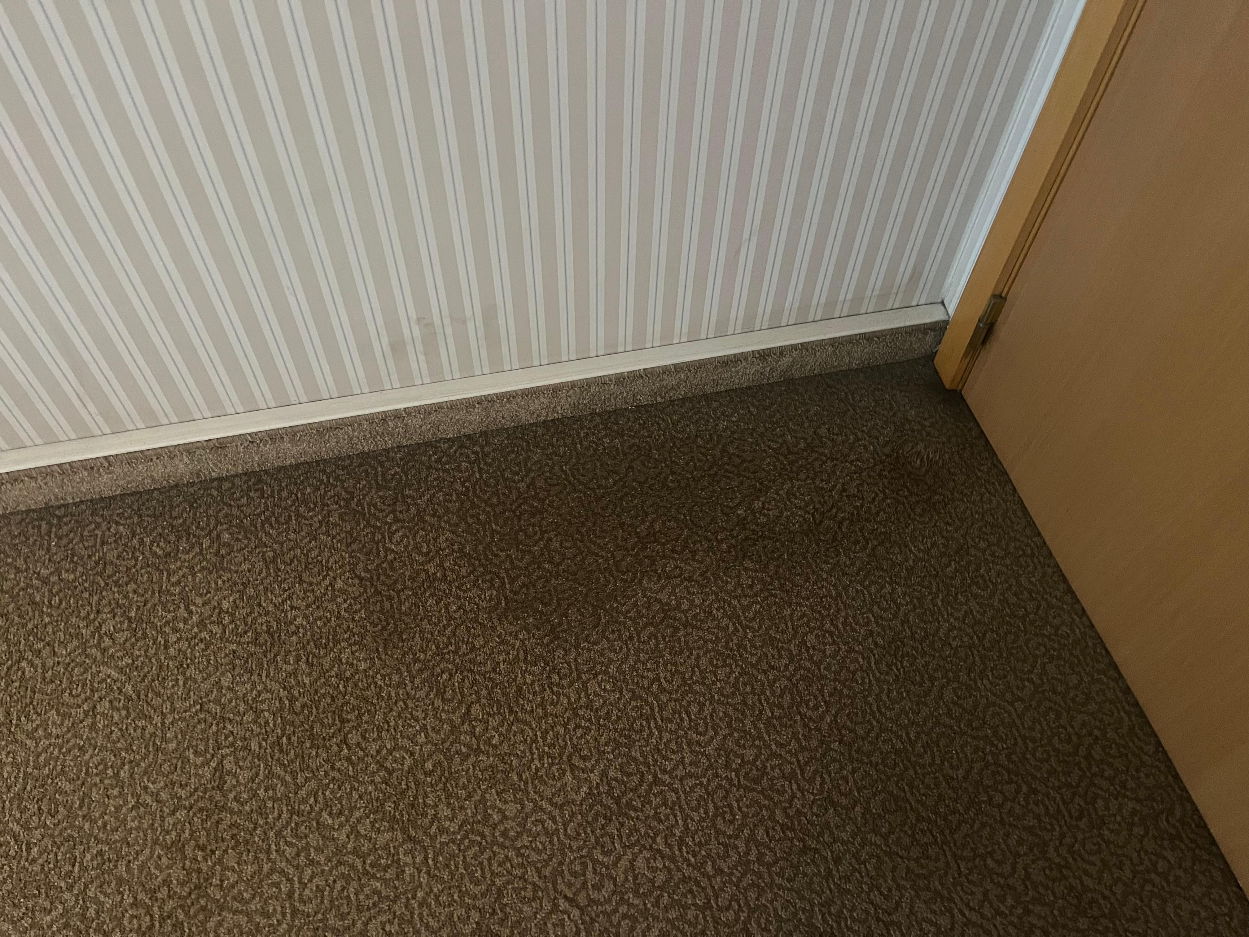 Dirty carpet 