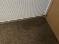 Dirty carpet