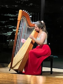 Professional violin entertainment