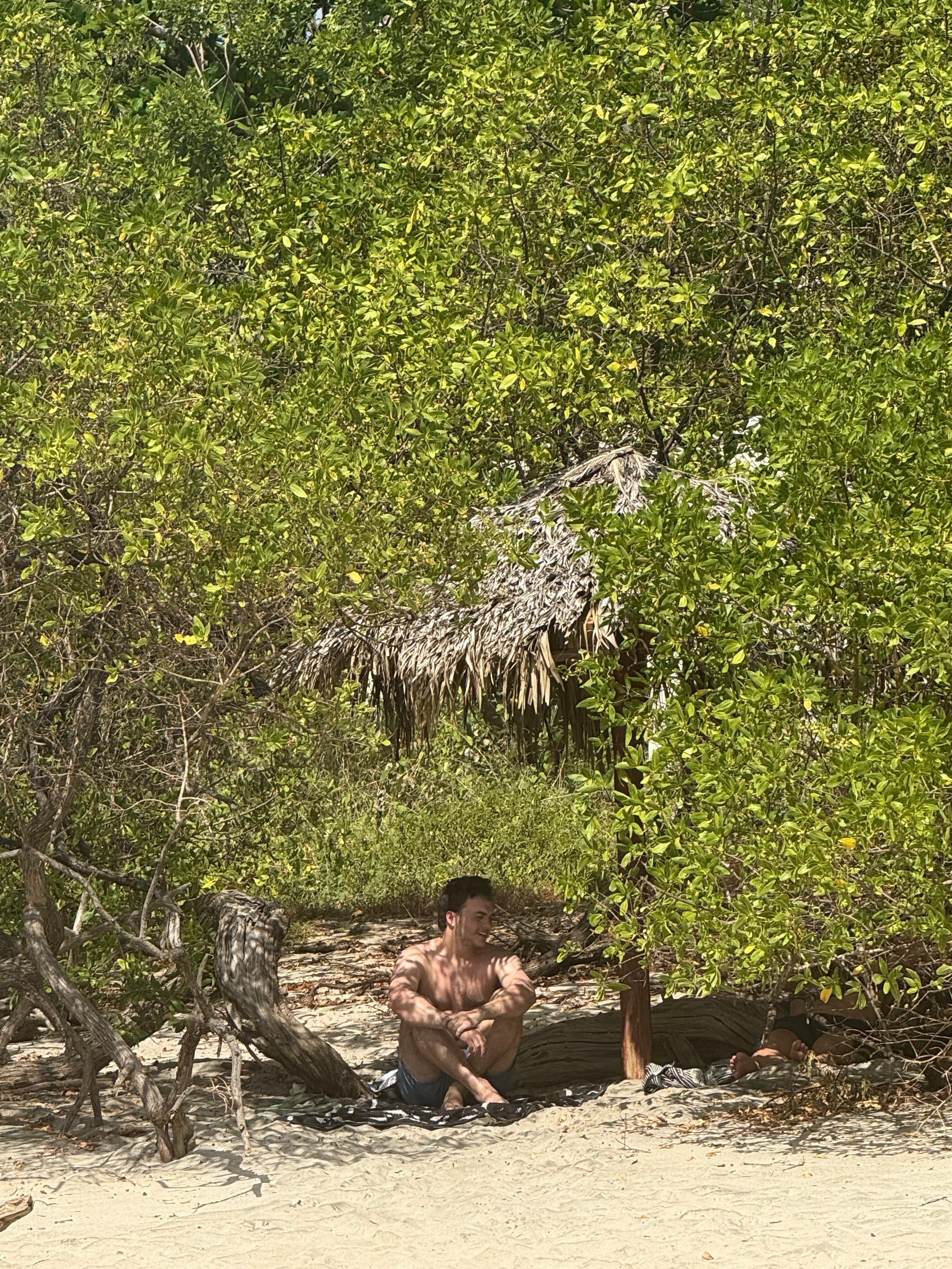 Beach club beach shady trees 
